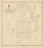 Township of Urenui. Copy 1
