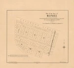 Plan of the Town of Waipahee. Copy 1