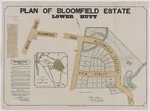 Plan of the Bloomfield estate