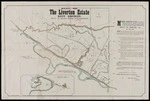 Plan of the Liverton estate