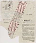 Map of subdivision of Frederick Cooper's estate