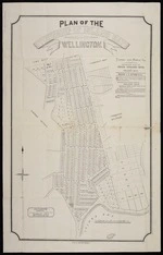 Plan of the township of Island Bay. Acc. 35309