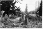 grafton Cemetery.tif