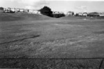 Grey Lynn Park 1970.tif