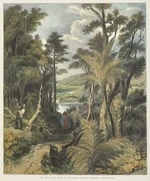 [Brees, Samuel Charles] 1810-1865 :The Hutt Road taken at the gorge looking towards Wellington. [No.] 22. Drawn by S C Brees. Engraved by Henry Melville. (3rd image on plate 7). [1847].
