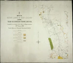Map of the native lands of New Zealand, shewing their occupation, tenure and use ... Sheet 2