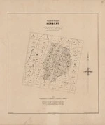 Plan of the town of Herbert. Copy 2