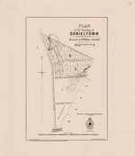 Plan of the township of Danieltown. Copy 2