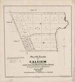 Plan of the township of Calcium. Copy 2