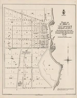 Plan of the township of Dipton. Copy 2