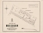 Village of Mossburn. Copy 2