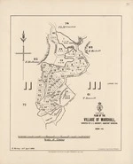 Plan of the village of Marshall. Copy 2