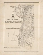 Plan of the town of Kaitangata. Copy 2