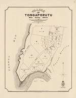 Village of Tongaporutu, Mimi Survey District. Copy 2