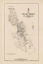 Plan of Toka-Anu township, situated in Block VI, Pukawa Survey District. Cppy 2