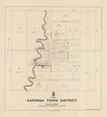 Kaponga town district. Copy 2