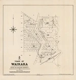Town of Waikaka. Copy 2