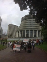 Womens_March_on_Washington_Wellington_21_Jan_2017 (8).JPG