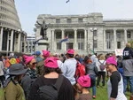 Womens_March_on_Washington_Wellington_21_Jan_2017 (50).JPG