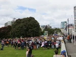 Womens_March_on_Washington_Wellington_21_Jan_2017 (62).JPG