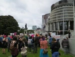 Womens_March_on_Washington_Wellington_21_Jan_2017 (12).JPG