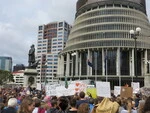 Womens_March_on_Washington_Wellington_21_Jan_2017 (45).JPG