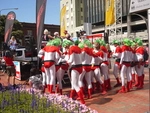 Rugby Sevens Costumes Wellington Feburary 2010 (1).JPG