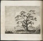 Plate 2 in John Hawkesworth, An account of the voyages (London: Printed for W. Strahan; ...