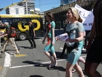 Anti Japanese Whaling Protest Wellington November 2010 (52).JPG