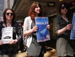 Anti Japanese Whaling Protest Wellington November 2010 (31).JPG