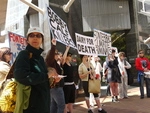Anti Dairying Protest Wellington November 2010 (7).JPG