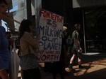Anti Dairying Protest Wellington November 2010 (10).JPG