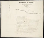 Township of Rakaia. Copy 1