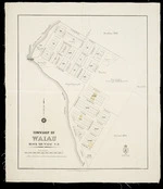 Township of Waiau, block XIII Waiau S, D. drawn by J.G. Kelly. Colour accurate digital copy photographed by Alexander Turnbull Library