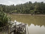 Mokau_River_Taranaki_May_2017_(4).tif