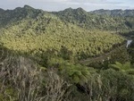 Mokau_River_Taranaki_May_2017_(8).tif