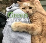 green_party_policy.jfif