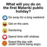 what_will_you_do_on_the_first_matariki_public_holiday.jpg