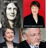 Helen_Clark_what_if_you_wanted_to_legalise_cannabis.jpg