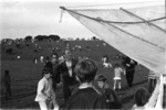 giant kite. Domaine 1972.tif
