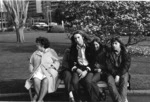Crowded Bench, Albert Park 1972.tif