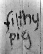 Filthy pig, abandonned house Grafton 1969.tif