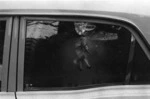 little horse in car window. 1974.tif