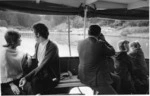 Bay of Islands. ferry 1973.tif