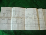 Mutti's birth certificate.JPG