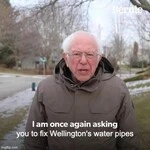 Bernie_sanders_asking_you_to_fix_wellingtons_water_pipes.jpg