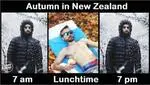 autumn_in_New_Zealand.jfif