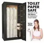 toilet_paper_safe.jpg