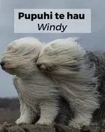 pupuhi_te_hau_windy.jpg