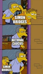 simpsons_national_caucus_simon_bridges.jpg